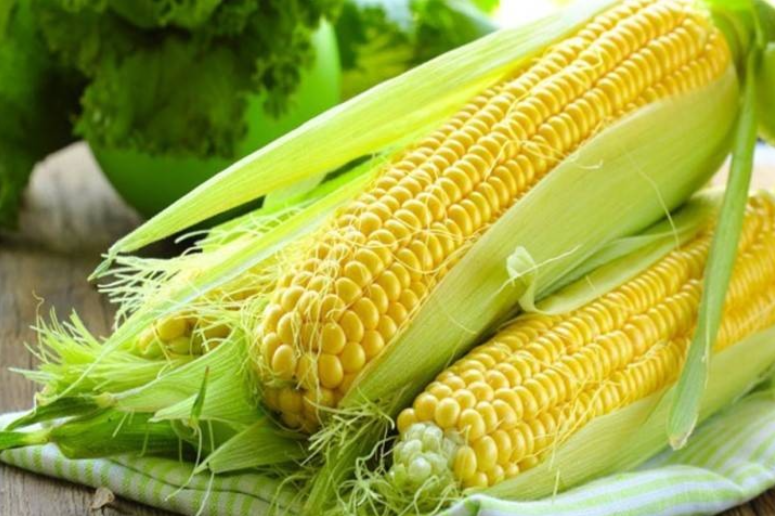 Giá ngô thế giới giảm sâu do áp lực nguồn cung